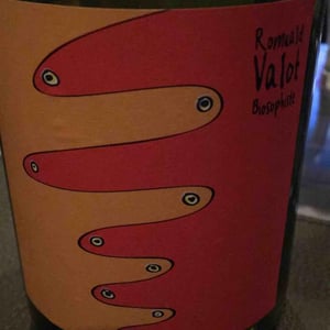 Les Sauvageons - Cosima and Romuald Valot - Côte De Brouilly