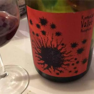 Les Sauvageons - Cosima and Romuald Valot - Côte De Brouilly