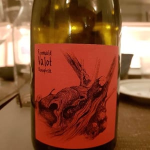 Les Sauvageons - Cosima and Romuald Valot - Côte De Brouilly
