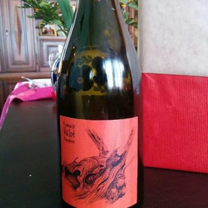 Les Sauvageons - Cosima and Romuald Valot - Côte De Brouilly