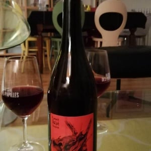 Les Sauvageons - Cosima and Romuald Valot - Côte De Brouilly