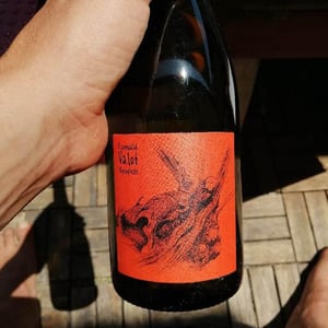 Les Sauvageons - Cosima and Romuald Valot - Côte De Brouilly