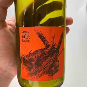 Les Sauvageons - Cosima and Romuald Valot - Côte De Brouilly