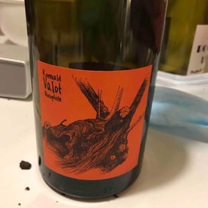 Les Sauvageons - Cosima and Romuald Valot - Côte De Brouilly