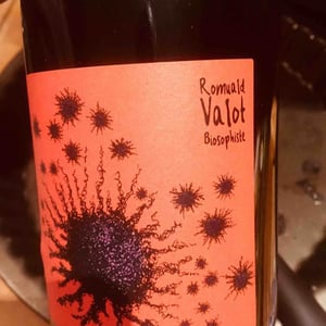 Les Sauvageons - Cosima and Romuald Valot - Côte De Brouilly