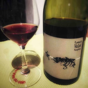 Les Sauvageons - Cosima and Romuald Valot - Côte De Brouilly
