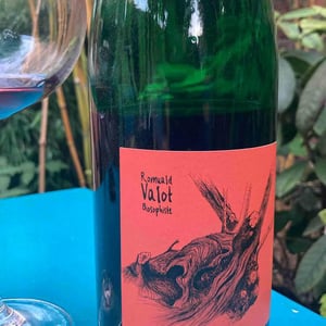 Côte De Brouilly - Les Sauvageons - Cosima and Romuald Valot 