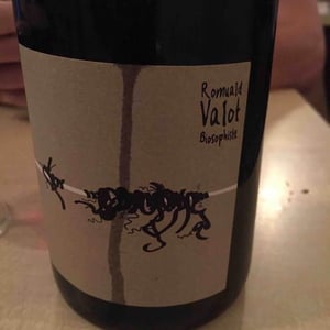 Les Sauvageons - Cosima and Romuald Valot - Côte De Brouilly
