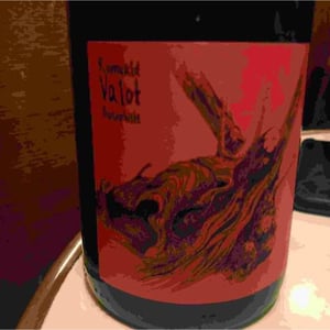 Les Sauvageons - Cosima and Romuald Valot - Côte De Brouilly