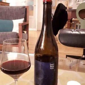 Les Sauvageons - Cosima and Romuald Valot - Côte De Brouilly