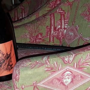 Les Sauvageons - Cosima and Romuald Valot - Côte De Brouilly