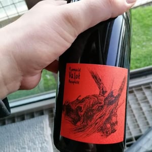 Les Sauvageons - Cosima and Romuald Valot - Côte De Brouilly