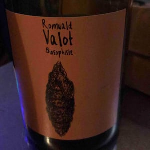 Côte De Brouilly - Les Sauvageons - cosima-and-romuald-valot