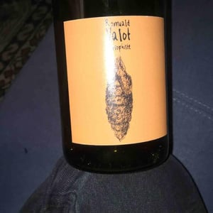 Les Sauvageons - Cosima and Romuald Valot - Côte De Brouilly