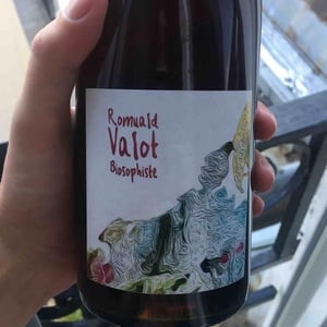 Les Sauvageons - Cosima and Romuald Valot - Côte De Brouilly