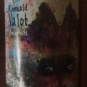 Les Sauvageons - Cosima and Romuald Valot - Côte De Brouilly