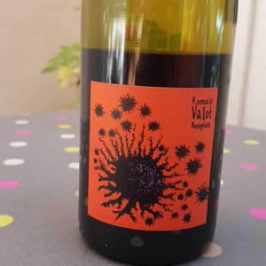 Les Sauvageons - Cosima and Romuald Valot - Côte De Brouilly