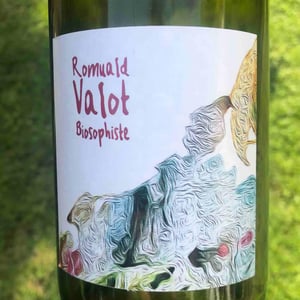 Côte De Brouilly - Les Sauvageons - Cosima and Romuald Valot 