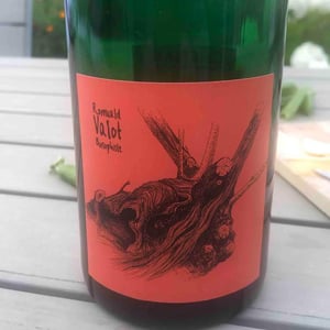 Côte De Brouilly - Les Sauvageons - Cosima and Romuald Valot 