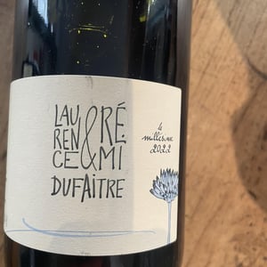 Côte de Brouilly - Domaine de Botheland - Rémi Dufaitre & Laurence Liatard -2022