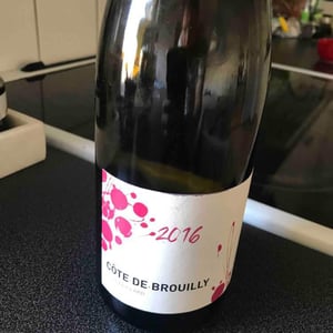 Côte de Brouilly - Alex Foillard - alex-foillard