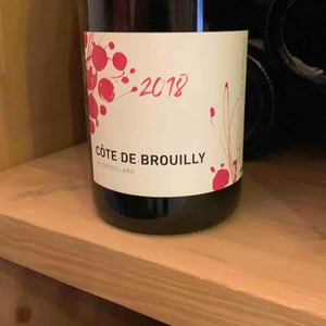 Côte de Brouilly - Alex Foillard - alex-foillard