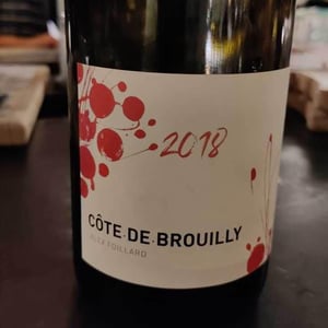 Côte de Brouilly - Alex Foillard - alex-foillard