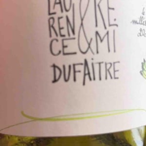 Domaine de Botheland - Rémi Dufaitre & Laurence Liatard - Côte de Brouilly