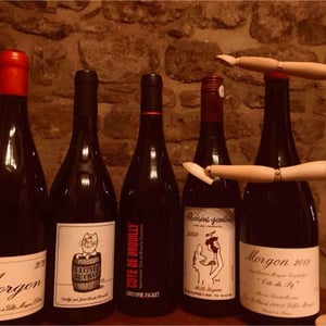 Côte de Brouilly - Les Marcellins - christophe-pacalet