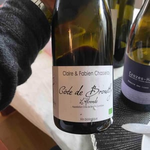 Côte De Brouilly "L'Héronde" - Domaine Chasselay - claire-fabien-chasselay