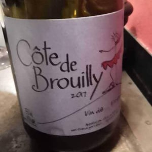 Côte de Brouilly - France Gonzalvez - Beaujolais (CLOSED) - france-gonzalvez-7n