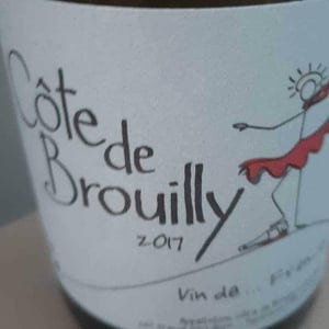 Côte de Brouilly - France Gonzalvez - Beaujolais (CLOSED) - france-gonzalvez-7n