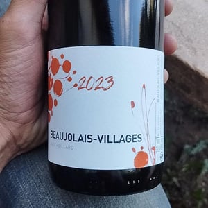 Côte de Brouilly - Alex Foillard - alex-foillard