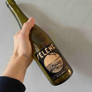 Côte de Brouilly - Séléné - sylvere-trichard -2021