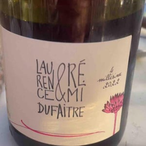 Côte de Brouilly - Domaine de Botheland - remi-dufaitre-laurence-liatard