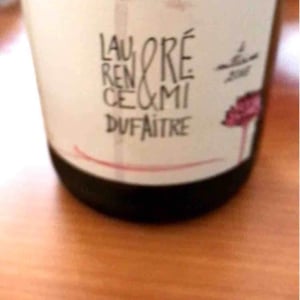 Côte de Brouilly - Domaine de Botheland - remi-dufaitre-laurence-liatard
