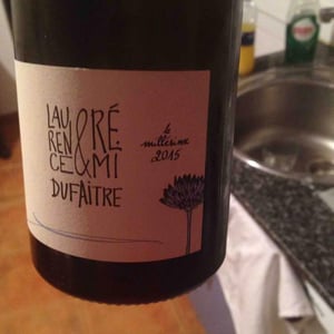 Côte de Brouilly - Domaine de Botheland - remi-dufaitre-laurence-liatard