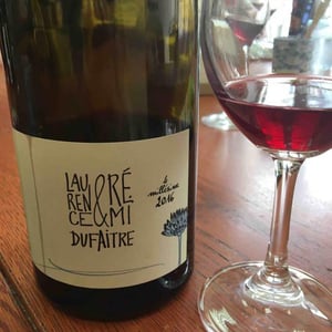 Côte de Brouilly - Domaine de Botheland - remi-dufaitre-laurence-liatard