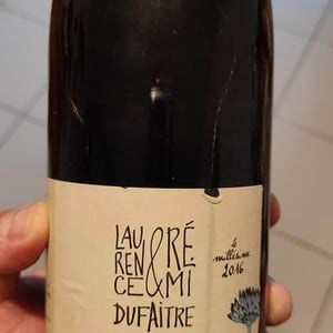 Domaine de Botheland - Rémi Dufaitre & Laurence Liatard - Côte de Brouilly