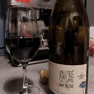 Domaine de Botheland - Rémi Dufaitre & Laurence Liatard - Côte de Brouilly