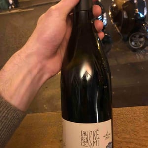 Côte de Brouilly - Domaine de Botheland - Rémi Dufaitre & Laurence Liatard 