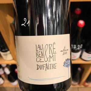 Côte de Brouilly - Domaine de Botheland - remi-dufaitre-laurence-liatard