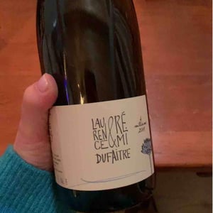 Domaine de Botheland - Rémi Dufaitre & Laurence Liatard - Côte de Brouilly