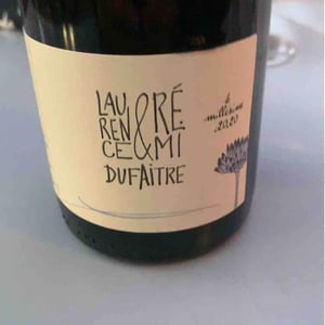 Domaine de Botheland - Rémi Dufaitre & Laurence Liatard - Côte de Brouilly