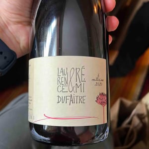 Côte de Brouilly - Domaine de Botheland - Rémi Dufaitre & Laurence Liatard 