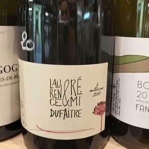 Côte de Brouilly - Domaine de Botheland - remi-dufaitre-laurence-liatard
