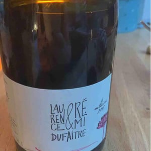 Côte de Brouilly - Domaine de Botheland - remi-dufaitre-laurence-liatard