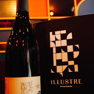 Côte de Brouilly - Domaine de Botheland - Rémi Dufaitre & Laurence Liatard 