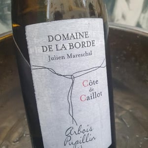 Côte de Caillot - Domaine de la Borde - julien-mareschal