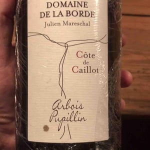 Côte de Caillot - Domaine de la Borde - Julien Mareschal 